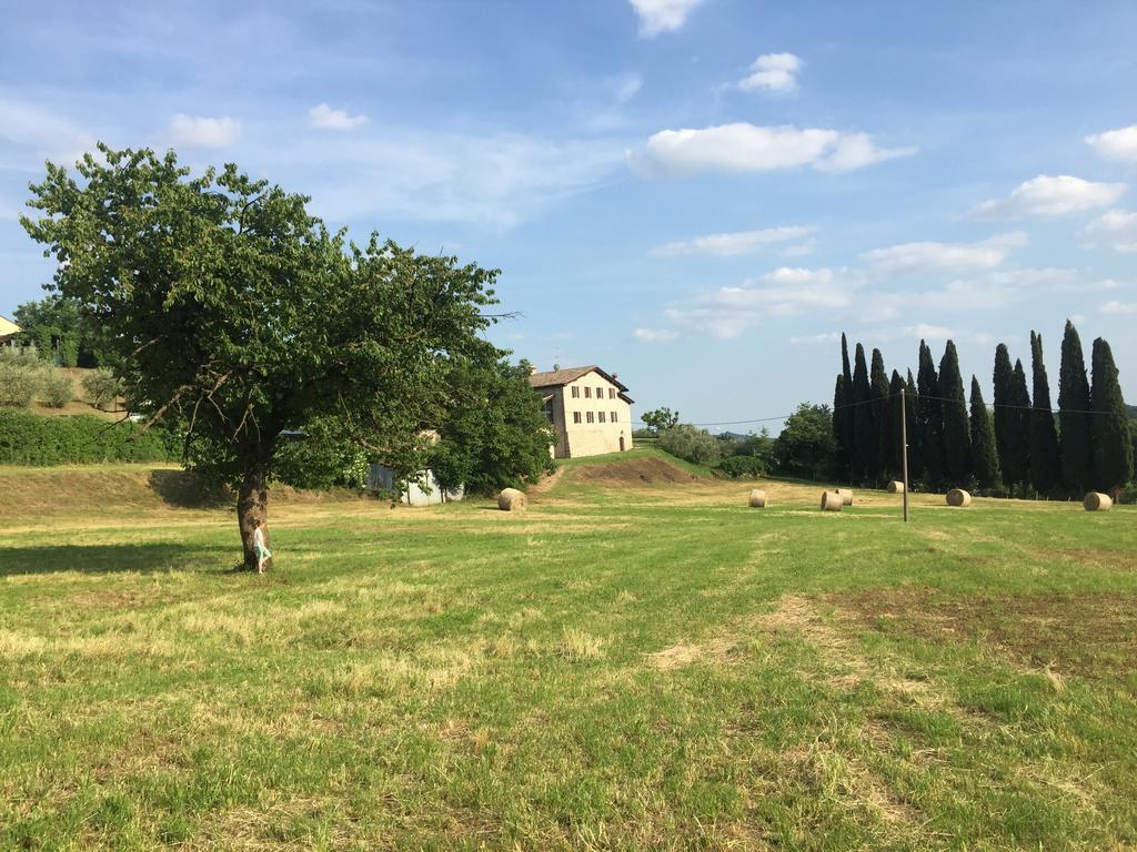 Casale Al Solivo B&B Castion Veronese Kültér fotó